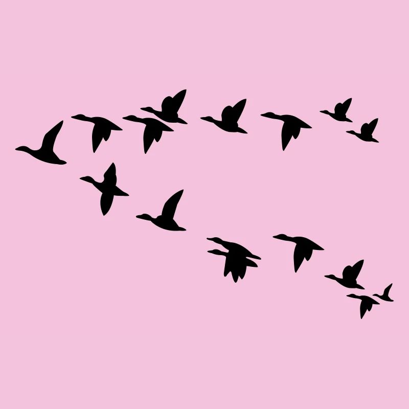 Vogelschwarm flock of birds