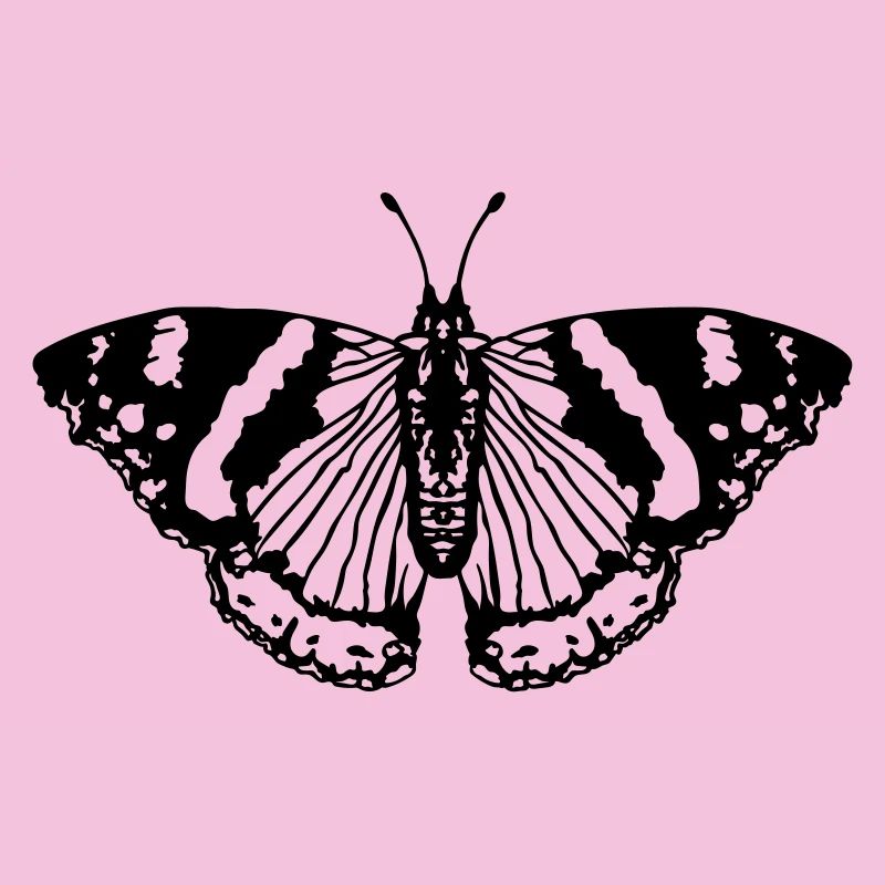 Papillon papillon