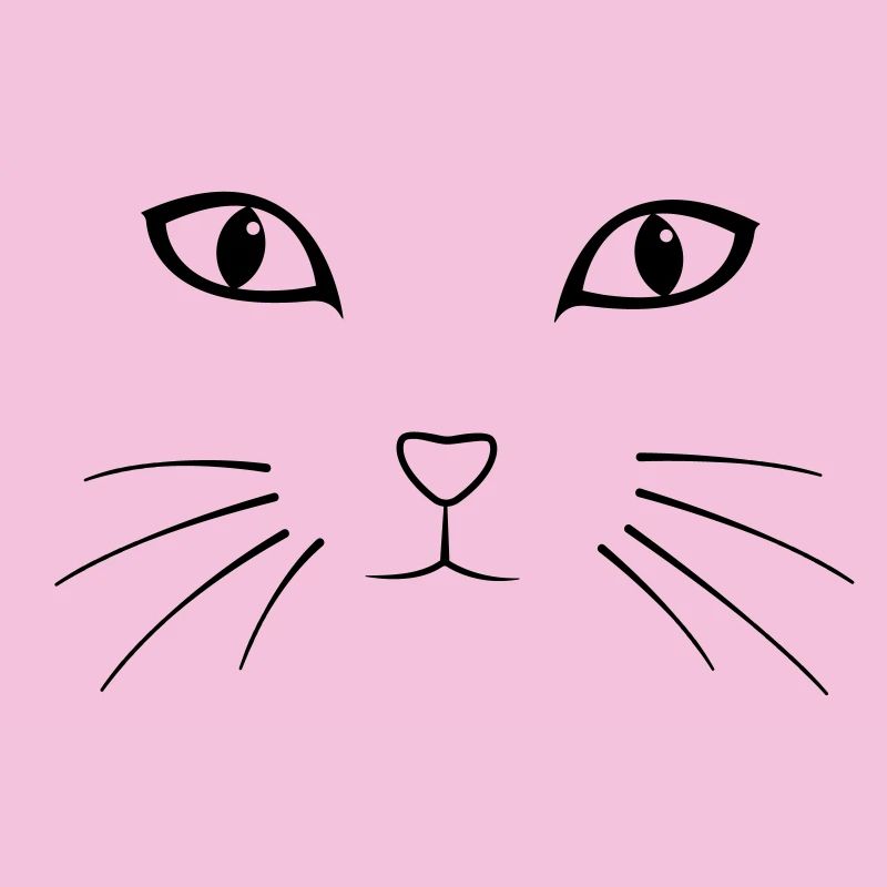 Katze
