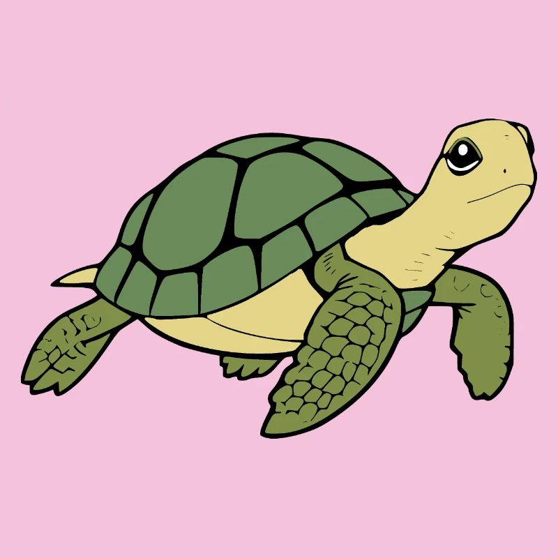 Turtle Turtles
