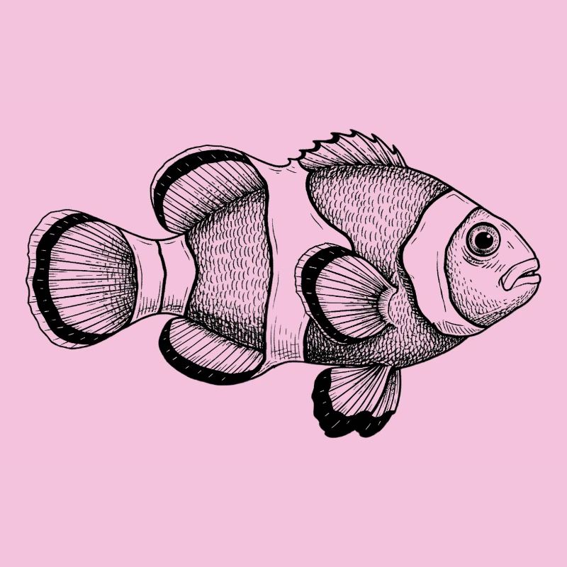 Clownfisch