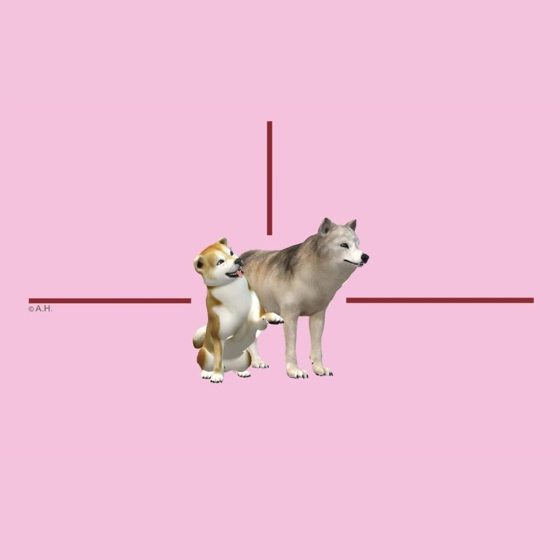 Duo dogs in red frame
