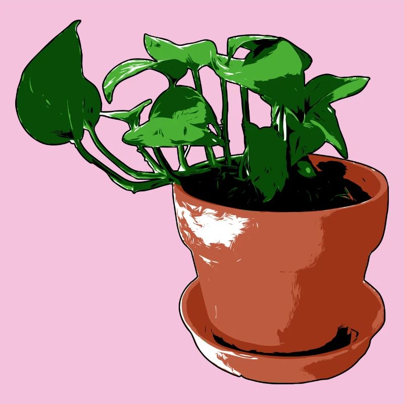 Plante