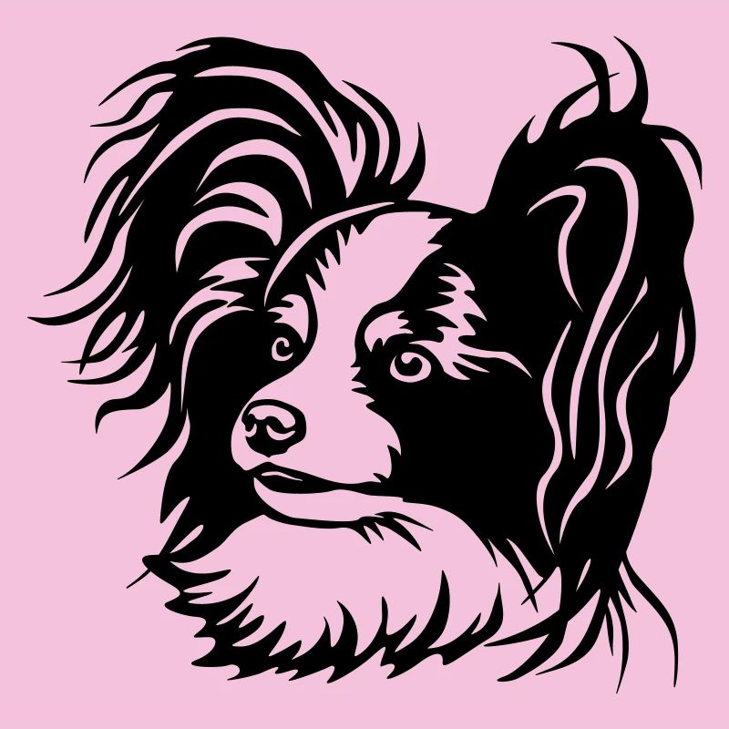 Tête de papillon
