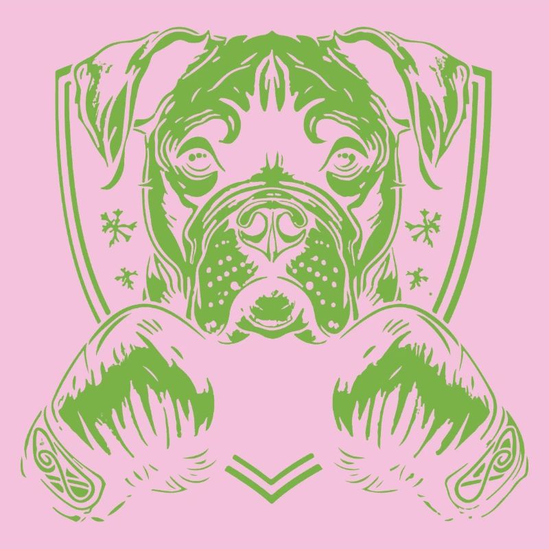 Boxer pour chien