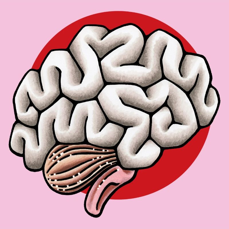 Gehirn Hirn Brain