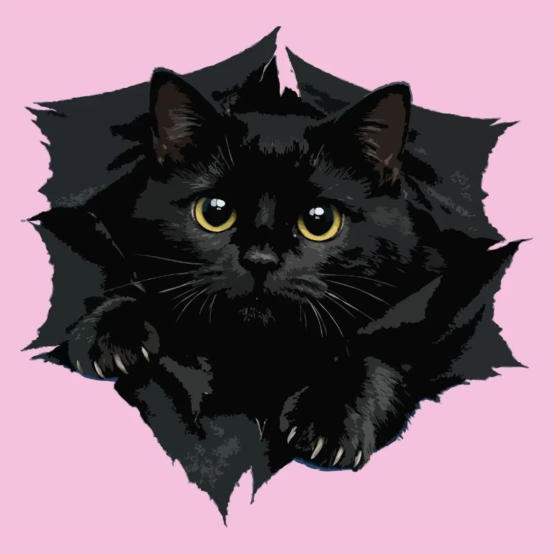 Black Cat by Clipped Edge