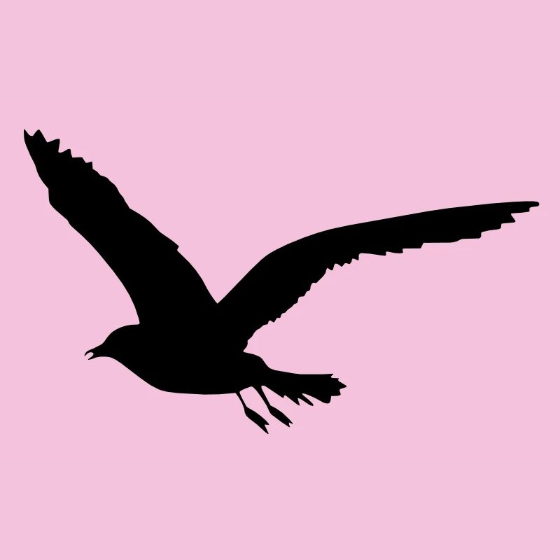 mouette