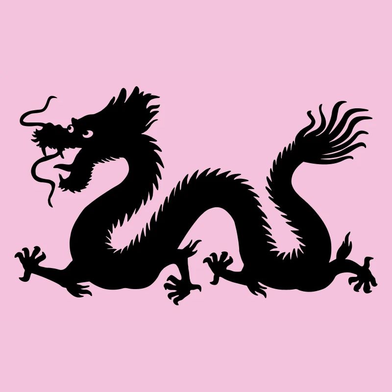 Image d’ombre de dragon année du dragon
