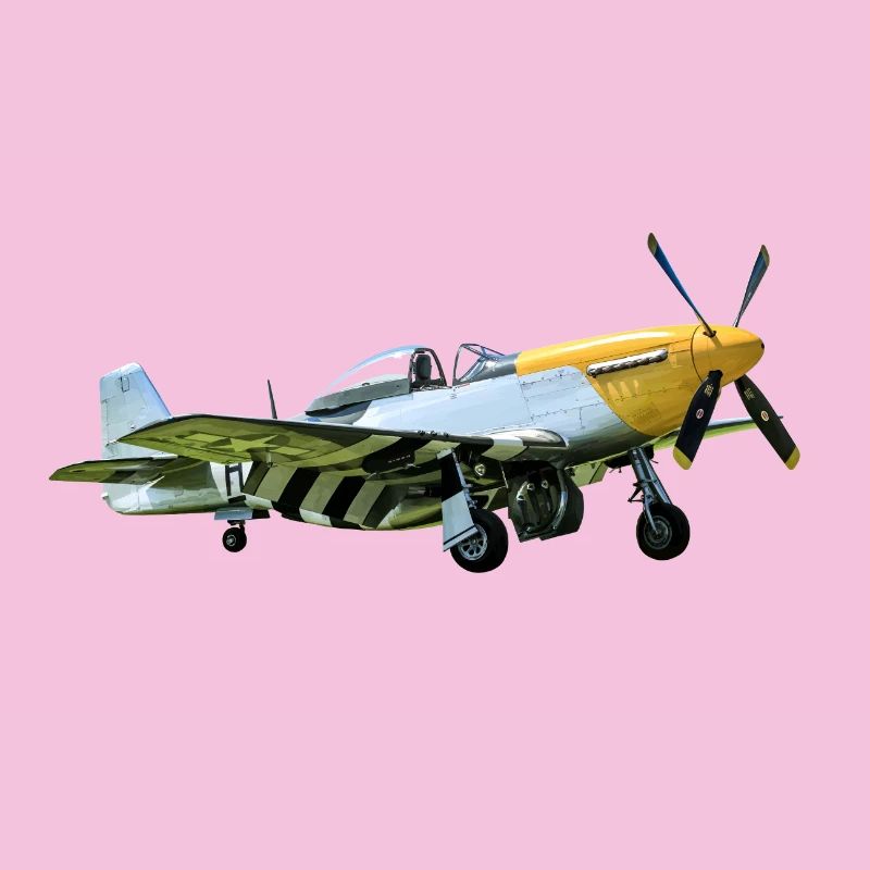 P-51