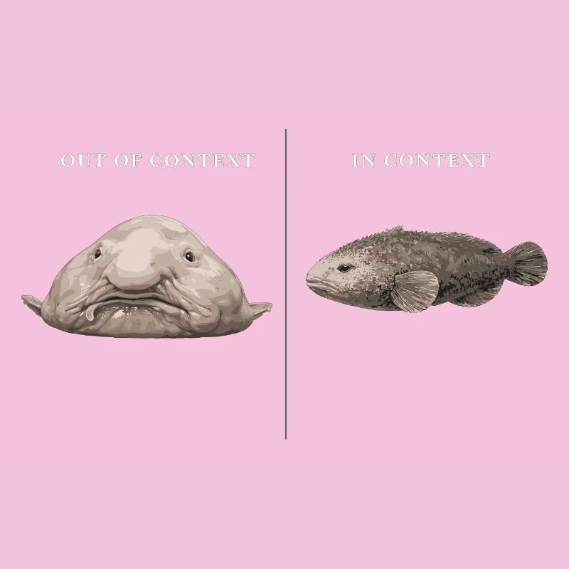 Blobfish hors contexte vs comparaison dans le contexte