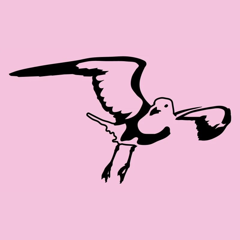 Gull