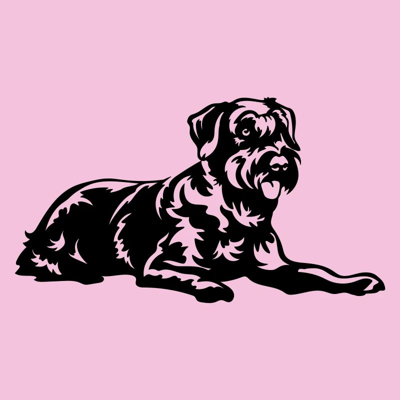 Schnauzer géant