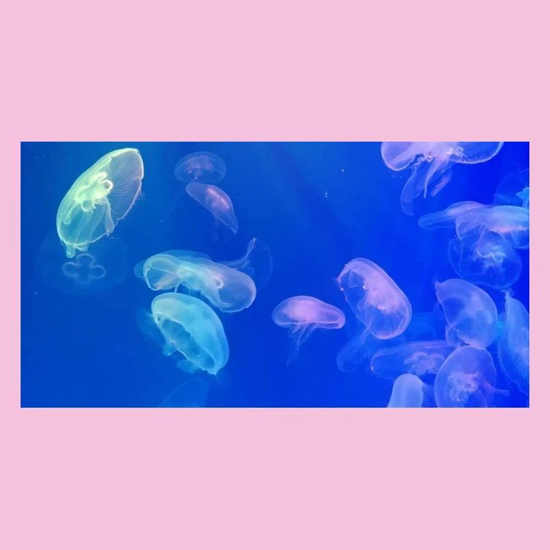 Blue jellyfish pattern