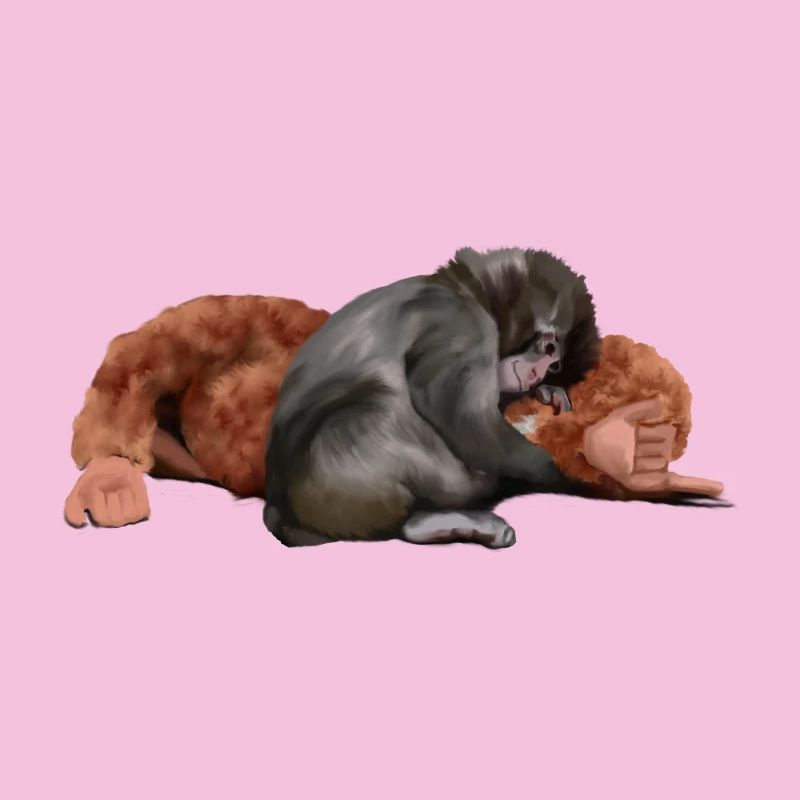 Punch - das Äffchen