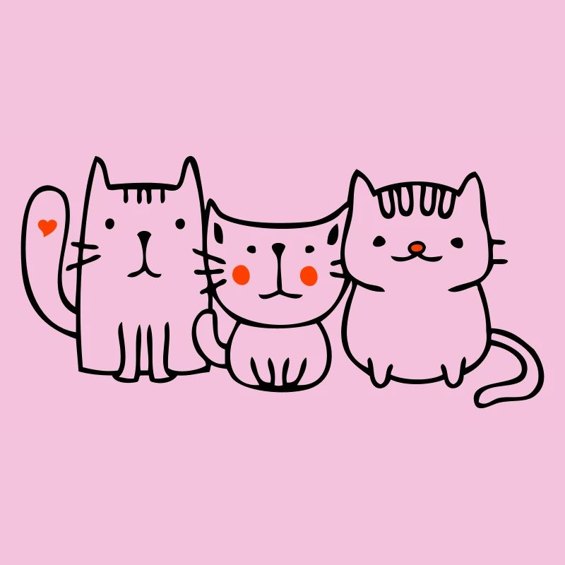 Chats, amis