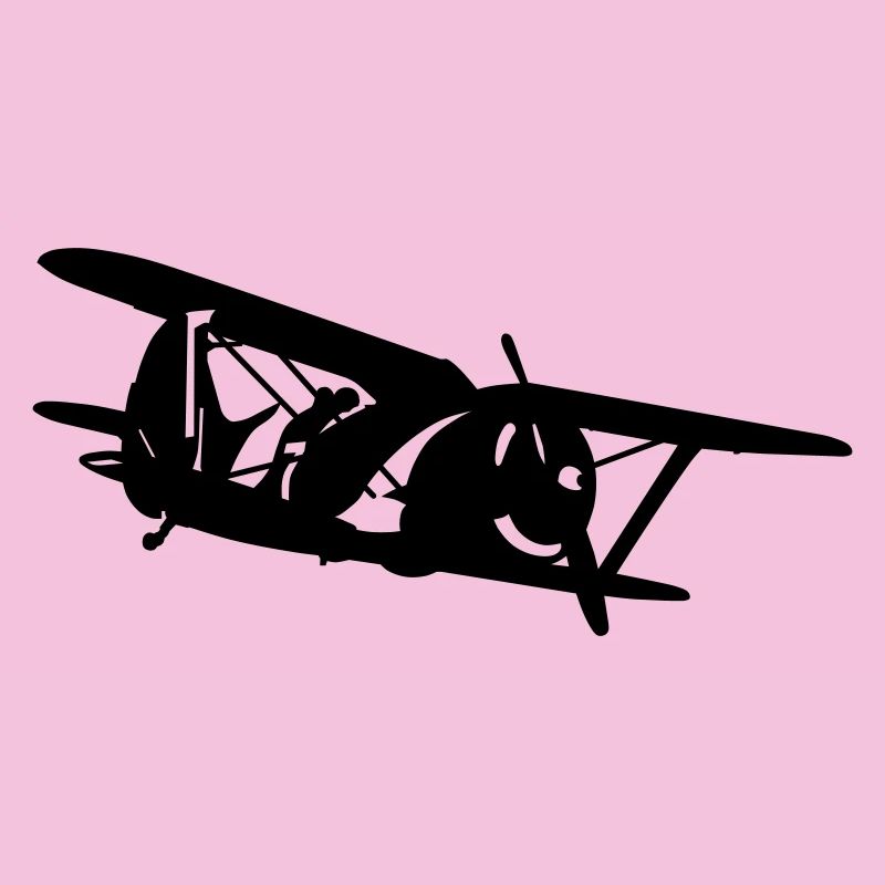 Biplan i-153