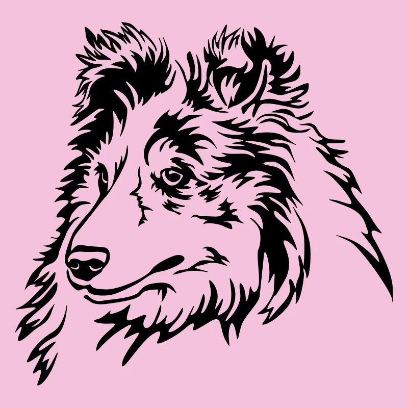 Sheltie Kopf