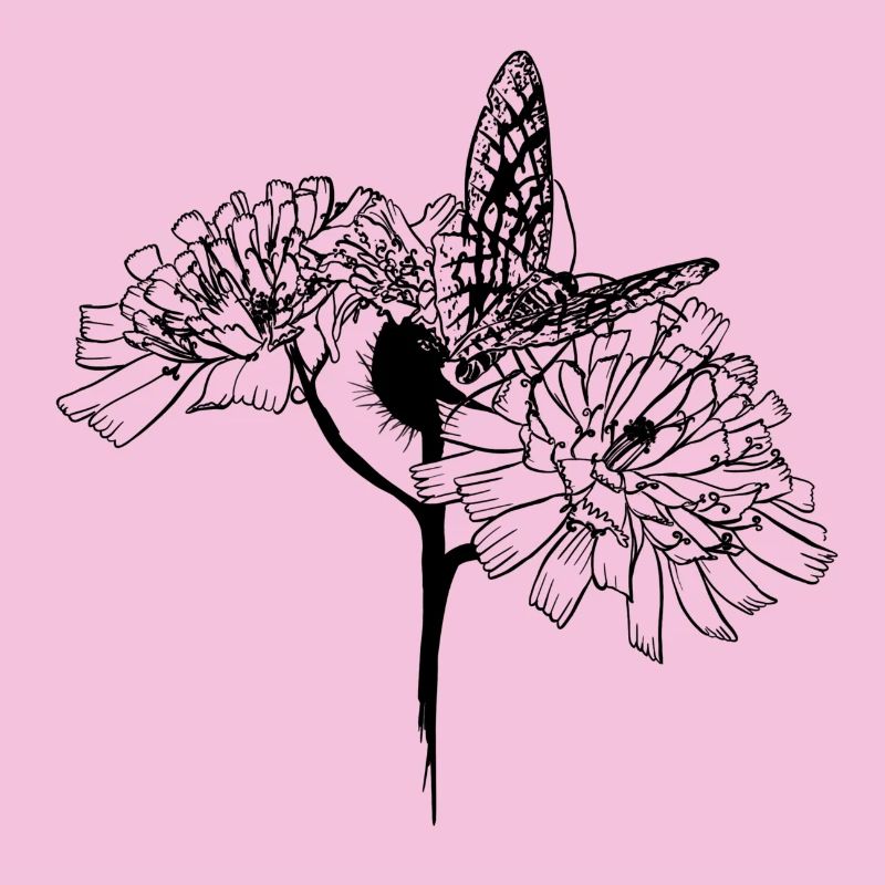 Papillon sur fleurs