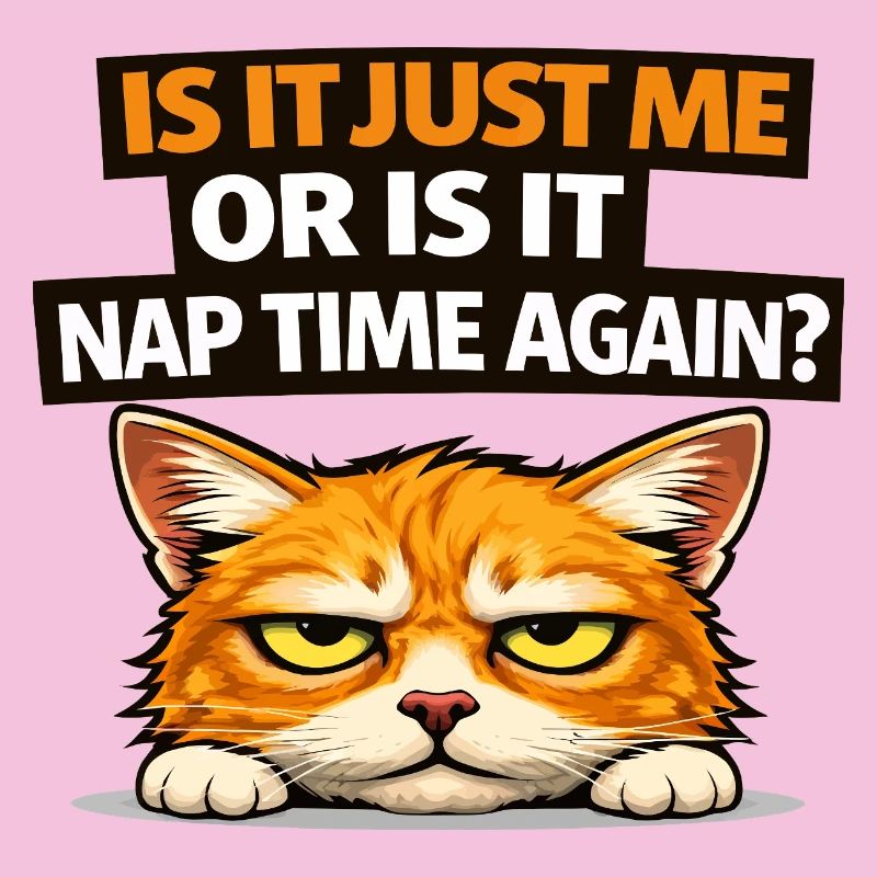 Mème du chat de l’heure de la sieste