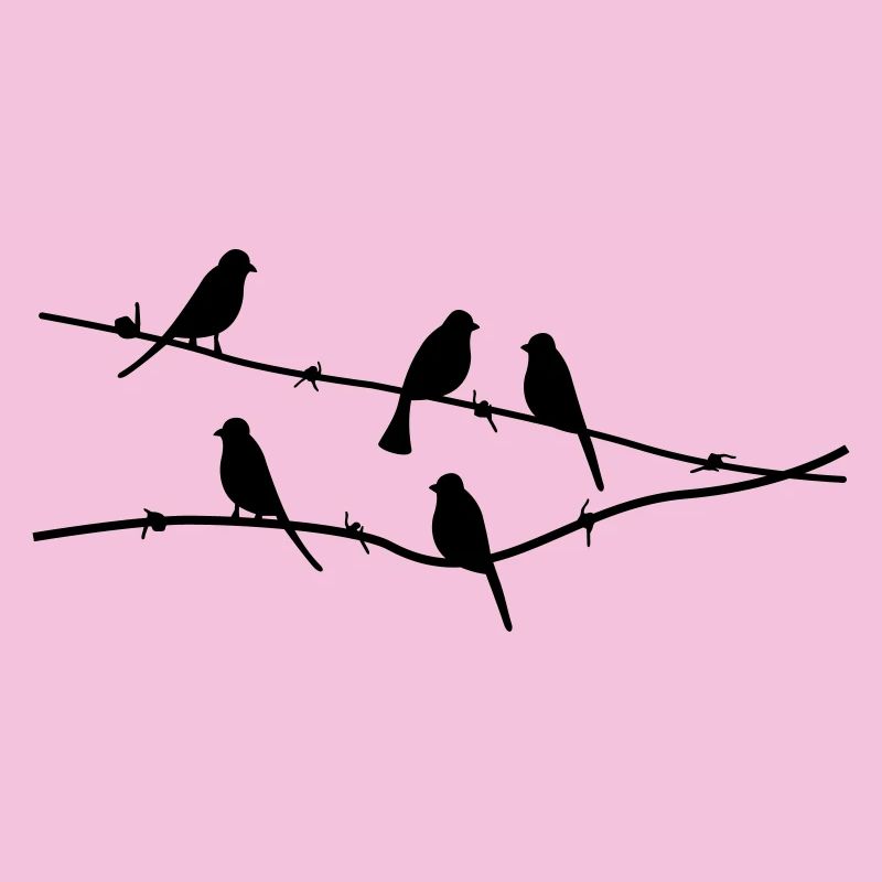oiseaux