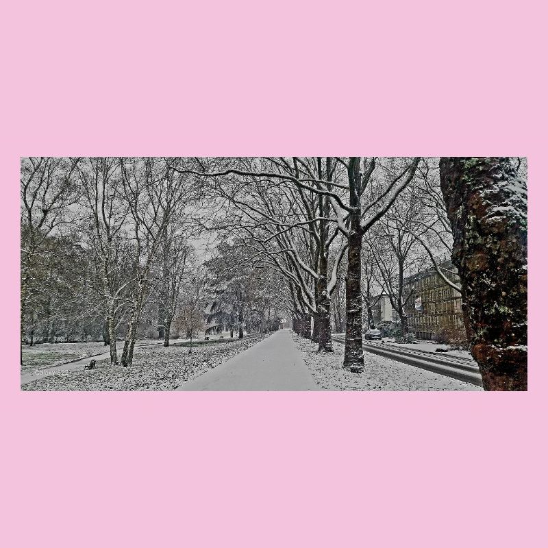 Winterallee im Schneefall