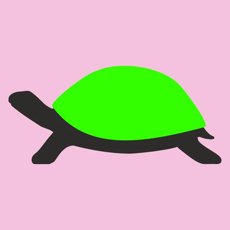 Tortue dessinée