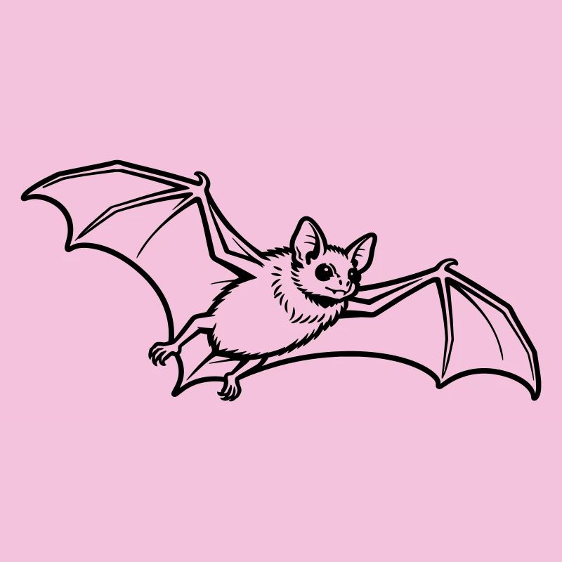 chauve-souris