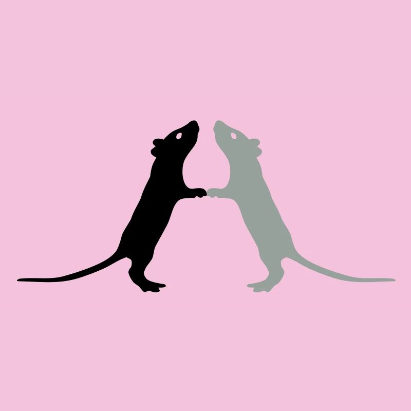 Rats