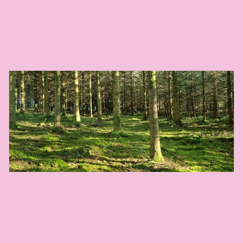 Lichter Waldlandschaft Druckdesign