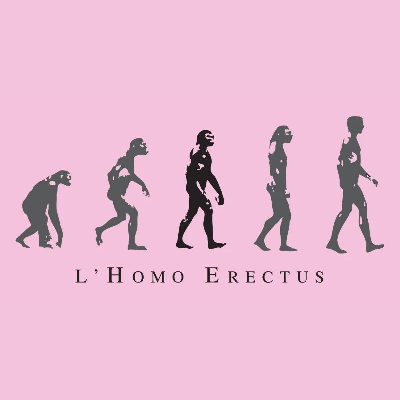 Evolution of the Human Position