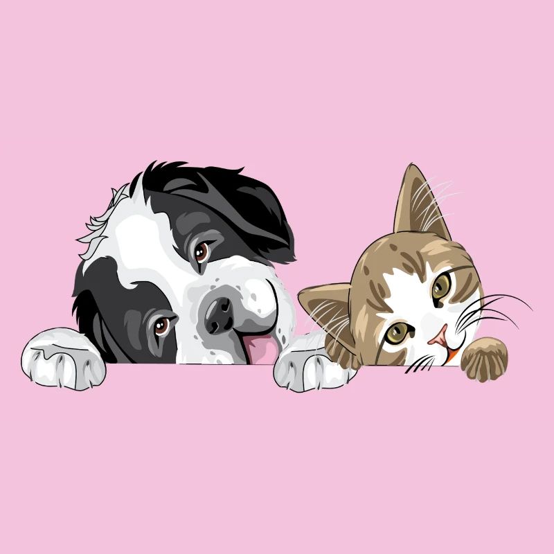 Cat and dog