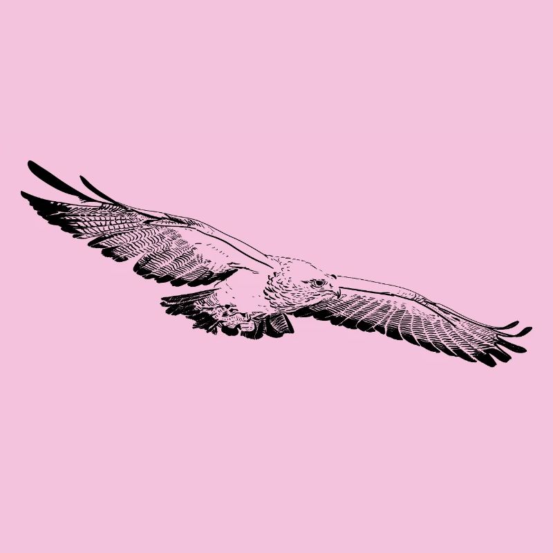 Aigle