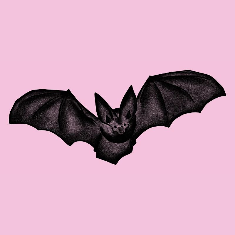 Fledermaus