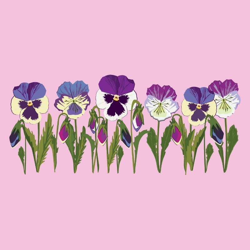 Rangée de fleurs de pensée en violet