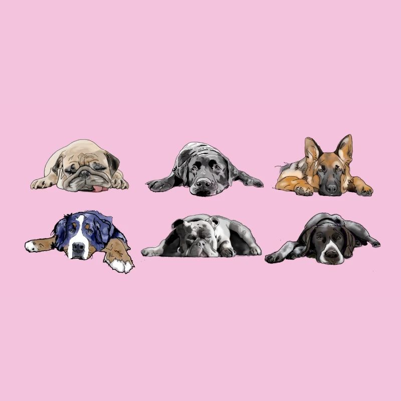 Mops Labrador Schäferhund Berner Bulldog Pointer