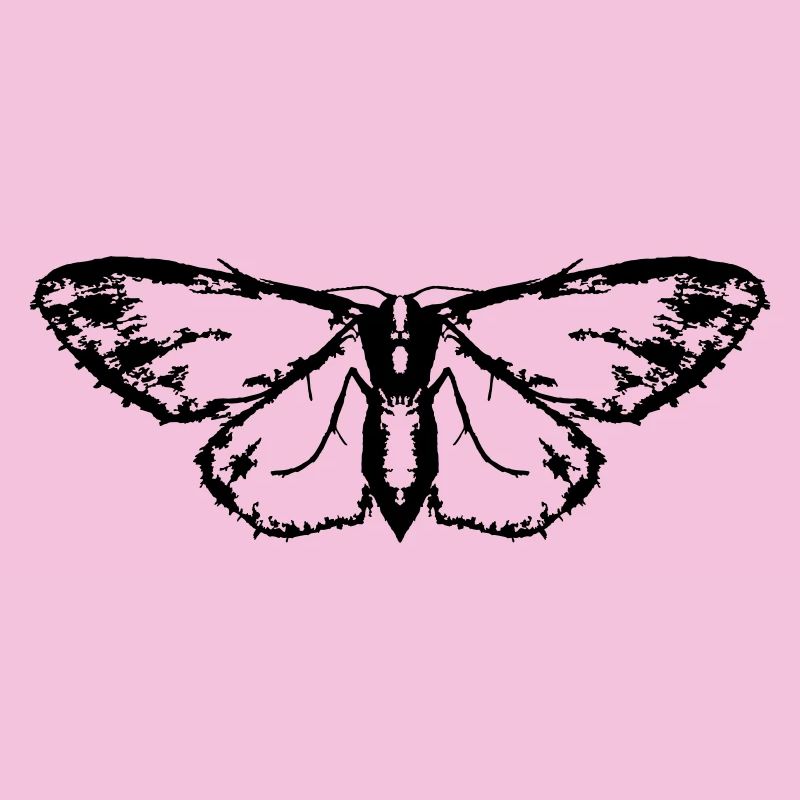 Moth / Butterfly / Moth