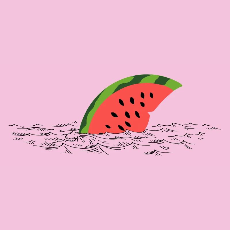 Melon Fin – Un requin mignon en route