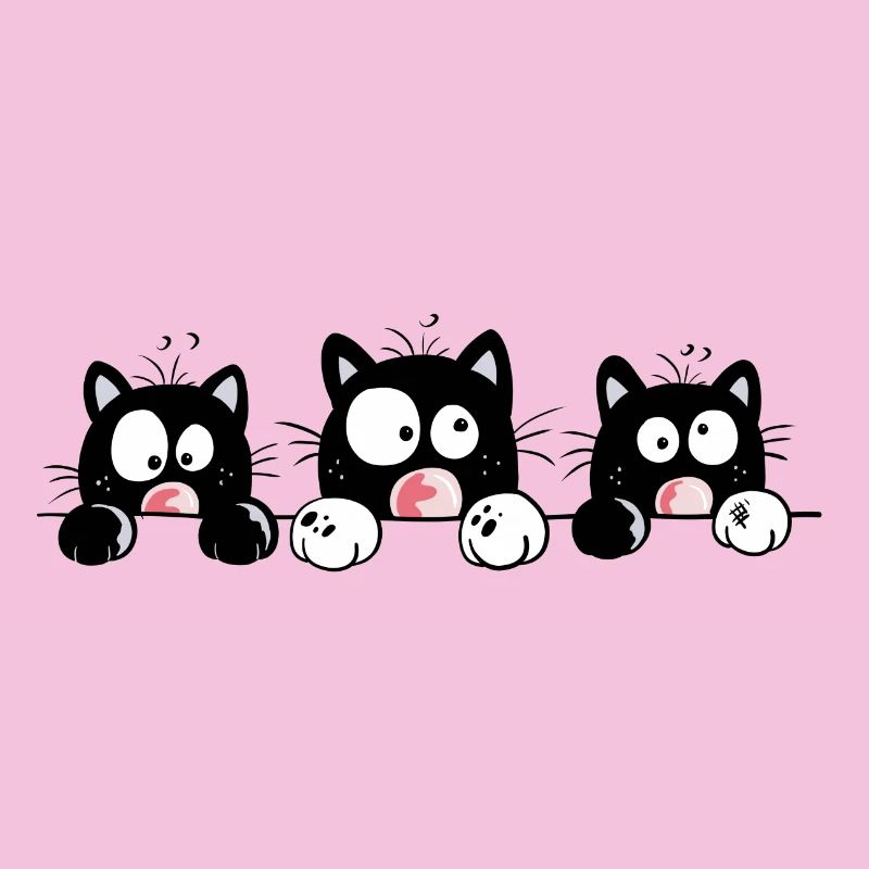 Funny Cats