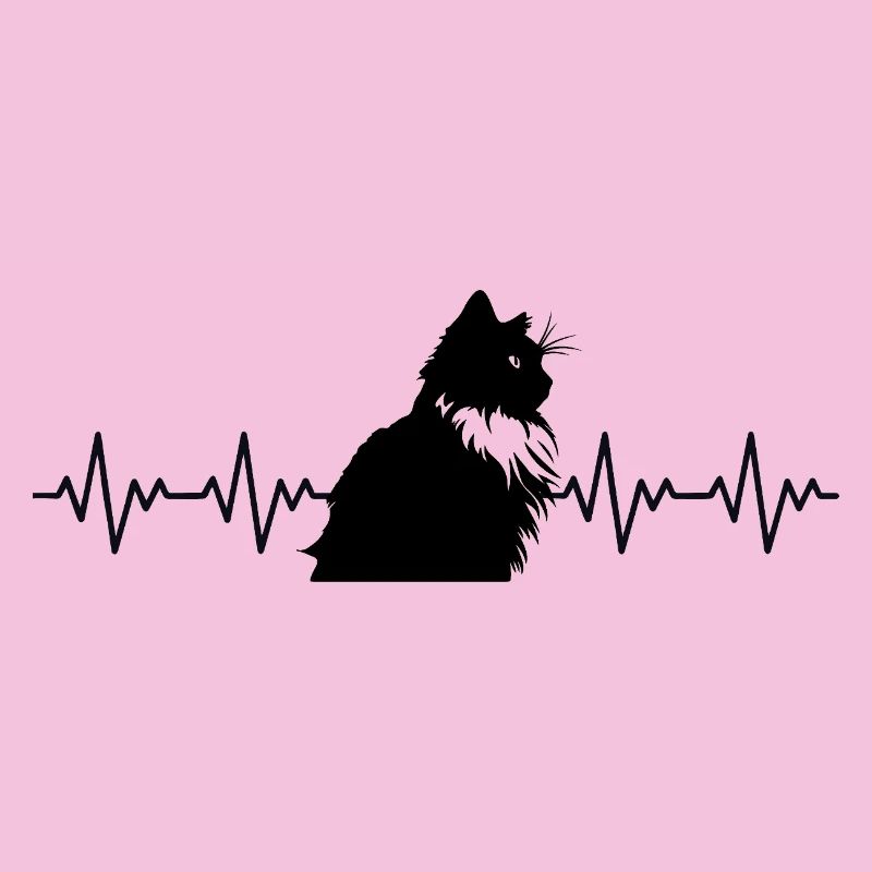 ECG du rythme cardiaque d'un chat Ragdoll