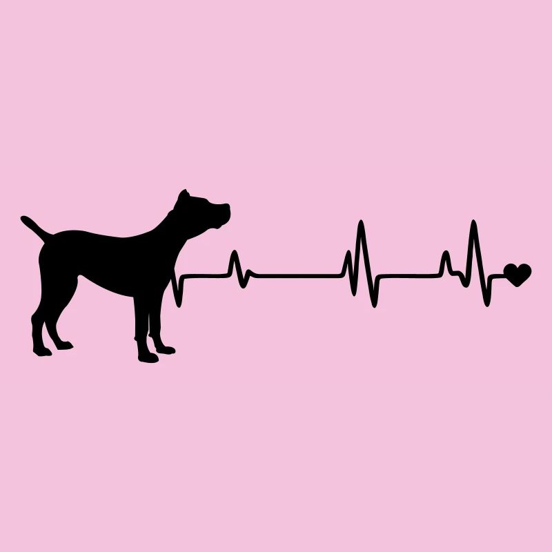Hund