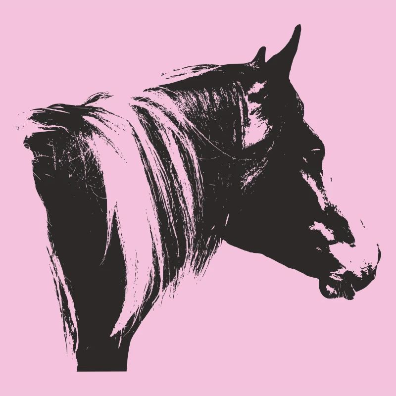 Lewitzer Schecke, Horse Schecke, Pinto Riding