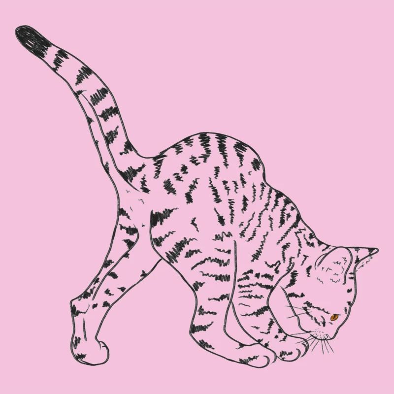 Schwarze Katze