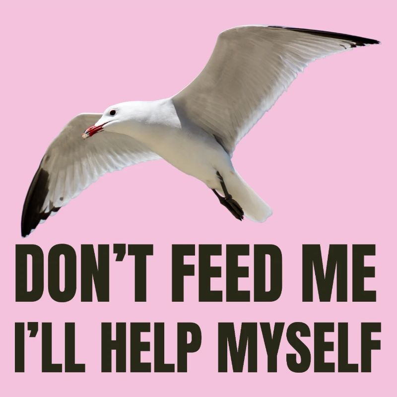 Mouette avec une déclaration audacieuse