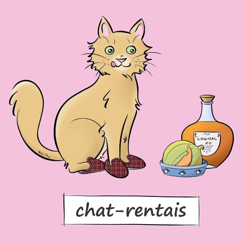 Chat-rentais