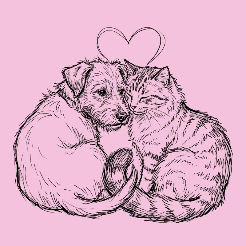 Amis mignons (Chat + Chien)