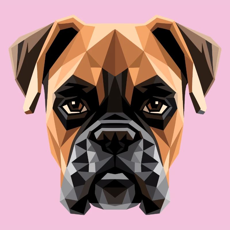 Deutscher Boxer Hunde Boxerverein German Boxer