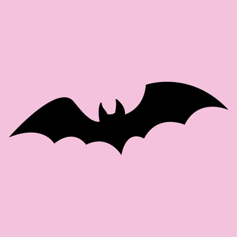 Fledermaus