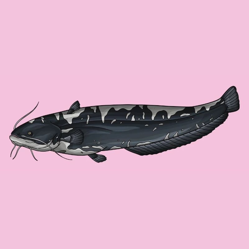 Conception européenne de la pêche au Silurus