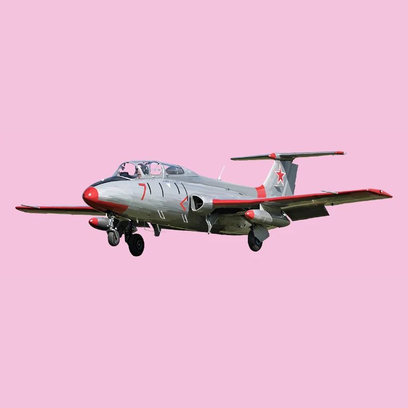 L-29 Delfin